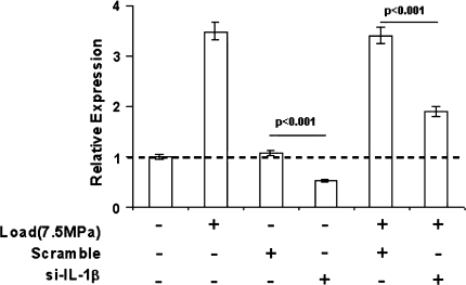 Fig. 4