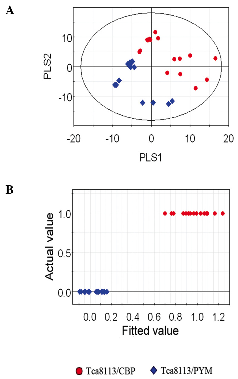 Figure 6.