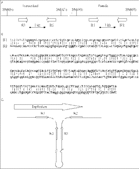 graphic file with name mg45765.f5.jpg