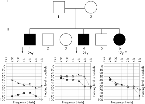 graphic file with name mg45765.f2.jpg