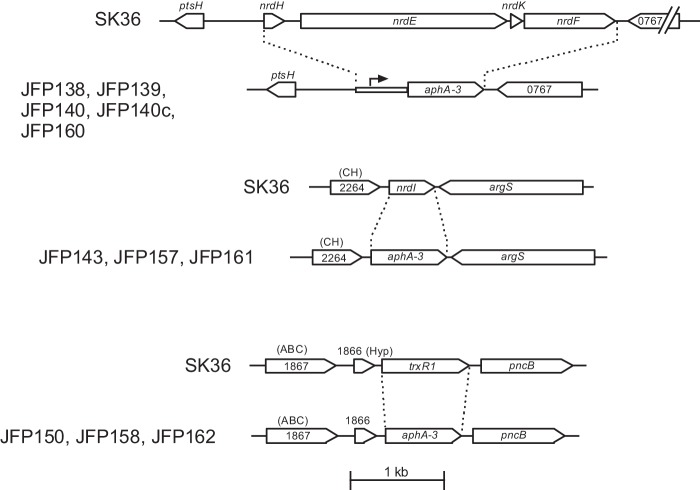 FIGURE 2.