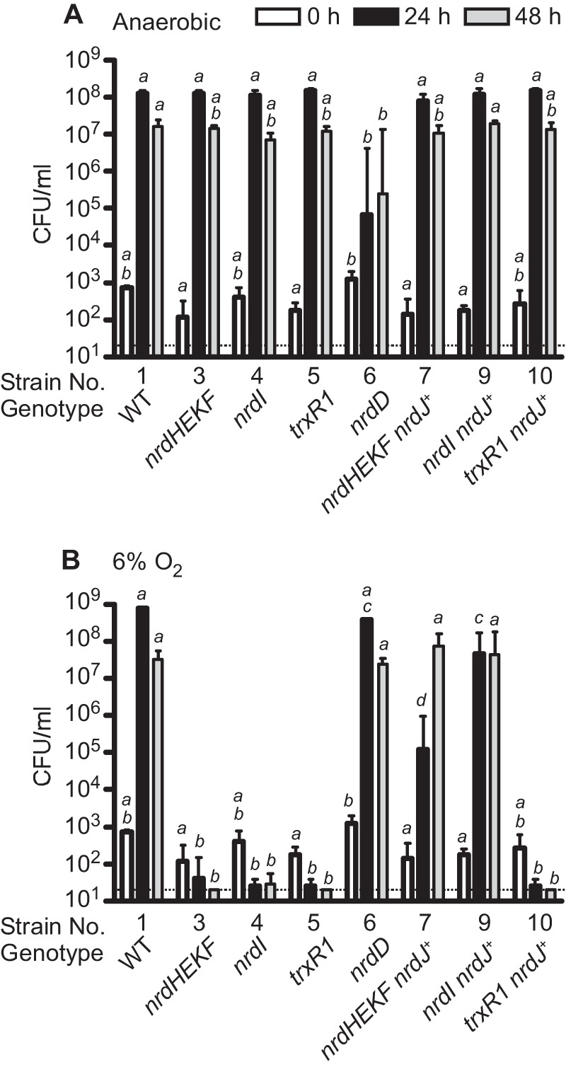 FIGURE 6.