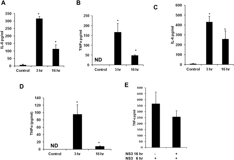 Fig 10