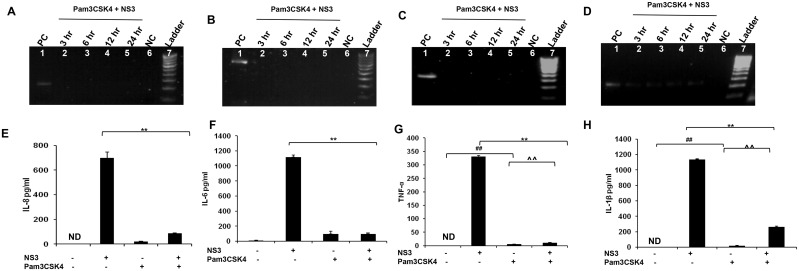 Fig 8