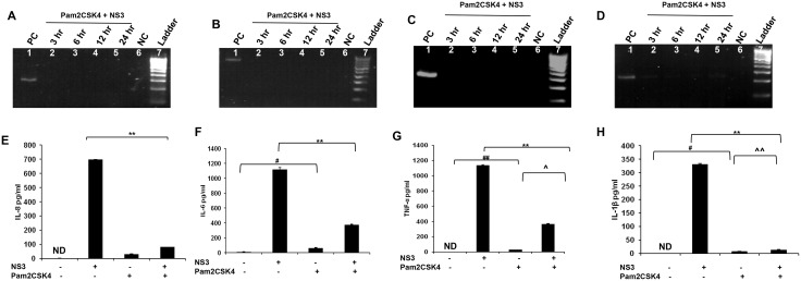 Fig 7