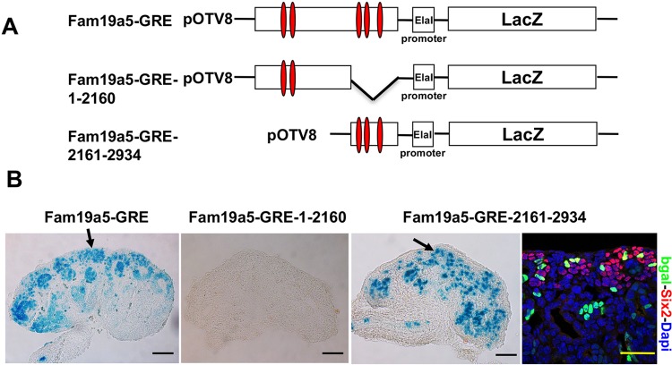 Fig. 3.