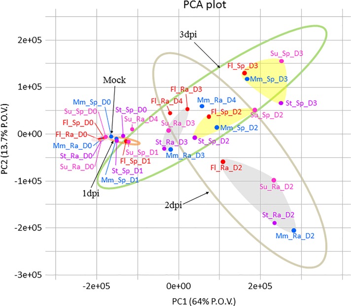 Fig 2