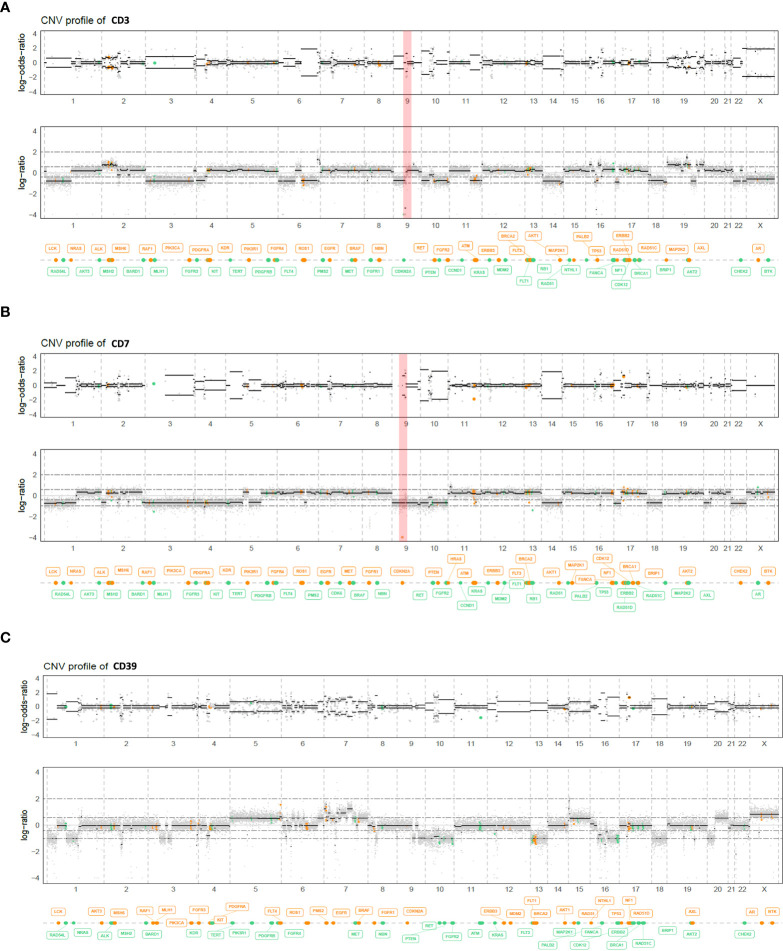 Figure 1