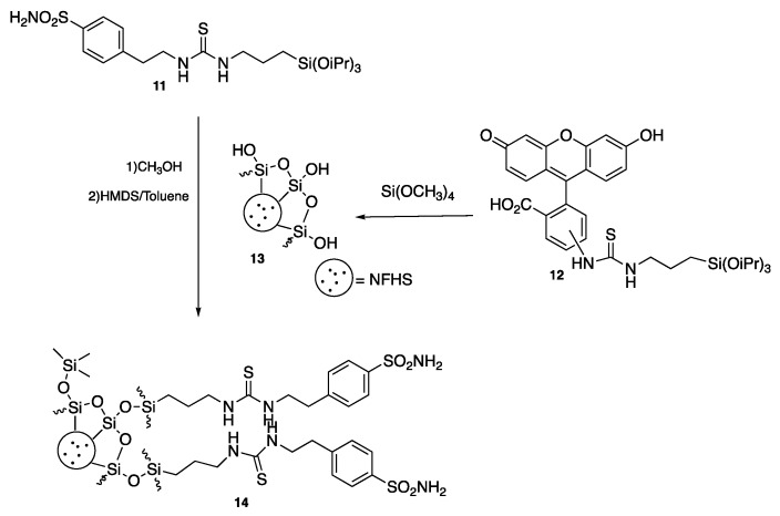 Scheme 3