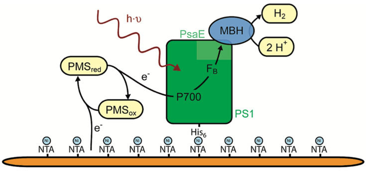 Figure 22