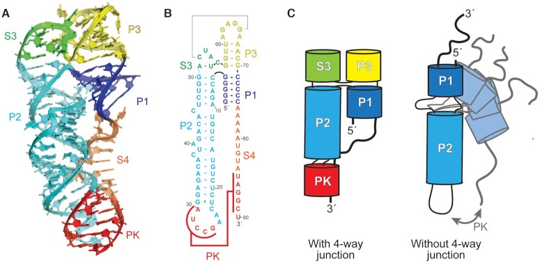 Figure 4.