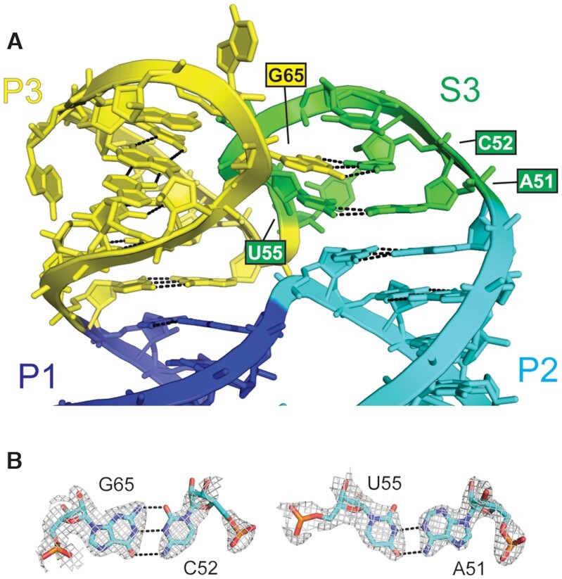 Figure 6.