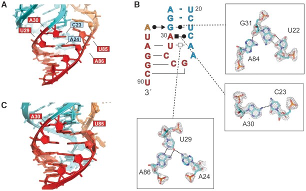 Figure 3.