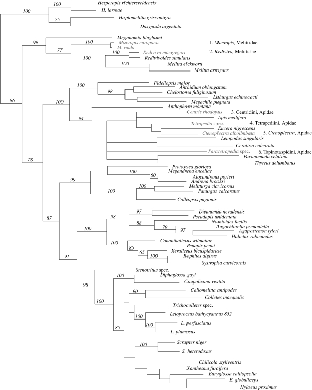 Figure 2.