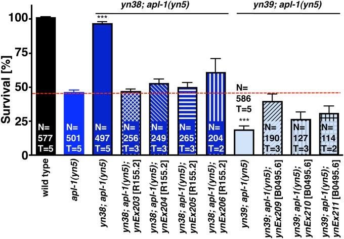 Figure 5 
