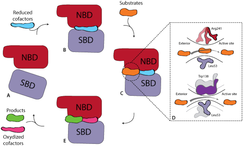 Figure 4