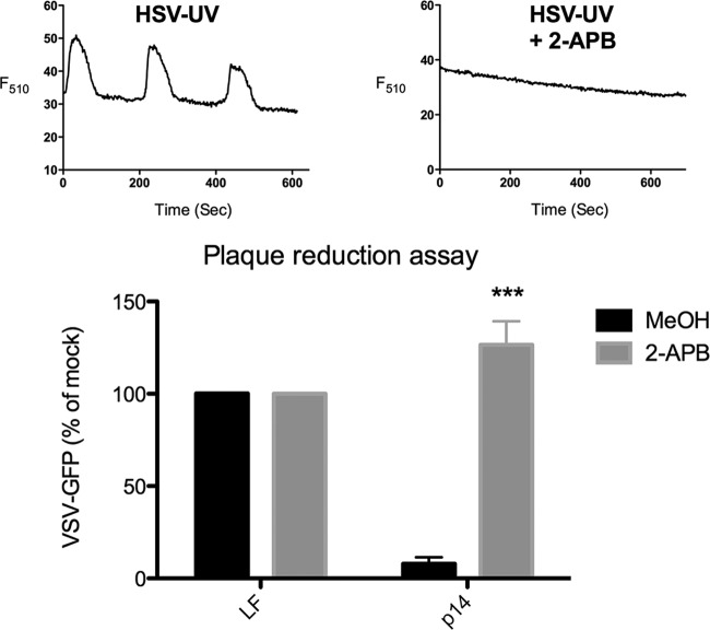 FIG 3