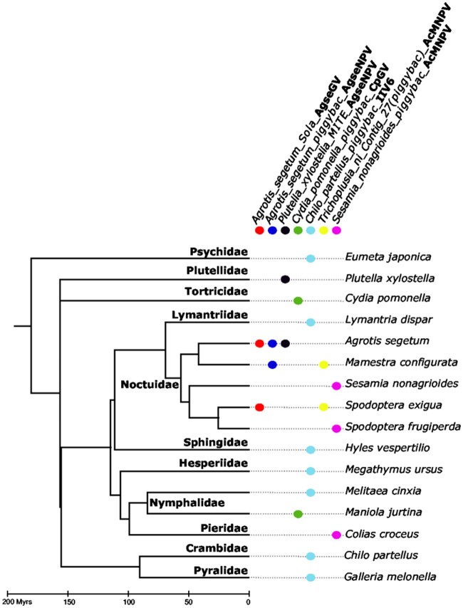 Fig. 7.