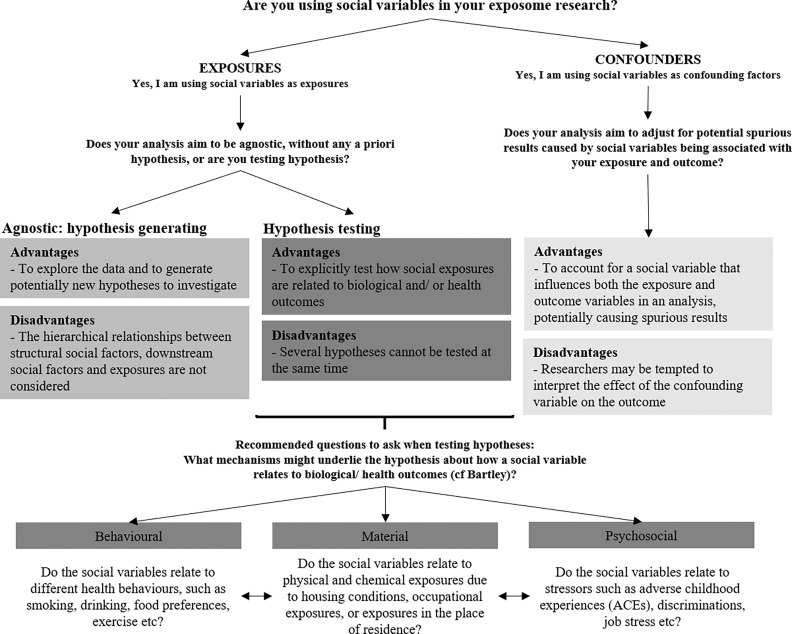 Figure 3 is a flowchart with six steps. Step 1: Are you using social variables in your exposure research? Exposures: Yes, I am using social variables as exposures and Confounders: Yes, I am using social variables as confounding factors. Step 2: Exposures: Yes, I am using social variables as exposures leads to Does your analysis aim to be agnostic, without any a priori hypothesis, or are you testing hypotheses? and Confounders: Yes, I am using social variables as confounding factors leads to Does your analysis aim to adjust for potential spurious results caused by social variables being associated with your exposure and outcome? Step 3: Does your analysis aim to be agnostic, without any a priori hypothesis, or are you testing a hypothesis? leads to Agnostic: hypothesis generating: Advantages include to explore the data and to generate potentially new hypotheses to investigate. Disadvantages include the hierarchical relationships between structural social factors, downstream social factors and exposures are not considered, and Hypothesis testing: Advantages includes explicitly test social exposures are related to biological and or health outcomes. Disadvantages include several hypotheses that cannot be tested at the same time. Step 4: Does your analysis aim to adjust for potential spurious results caused by social variables being associated with your exposure and outcome? leads to Advantages include to account for a social variable that influences both the exposure and outcome variables in an analysis, potentially causing spurious results. Disadvantages include Researchers may be tempted to interpret the effect of the confounding variable on the outcome. Step 5: Recommended questions to ask when testing hypotheses: What mechanisms might underlie the hypothesis about how a social variable relates to biological or health outcomes (compare Bartley)? leads to Behavioral, Material, and Psychosocial. Step 6: Behavioral: Do the social variables relate to different health behaviors, such as smoking, drinking, food preferences, exercise, etc? Material: Do the social variables relate to physical and chemical exposures due to housing conditions, occupational or exposures in the place of residence? Psychosocial: Do the social variables relate to stressors such as adverse childhood experiences (A C Es), discrimination, job stress, etc?