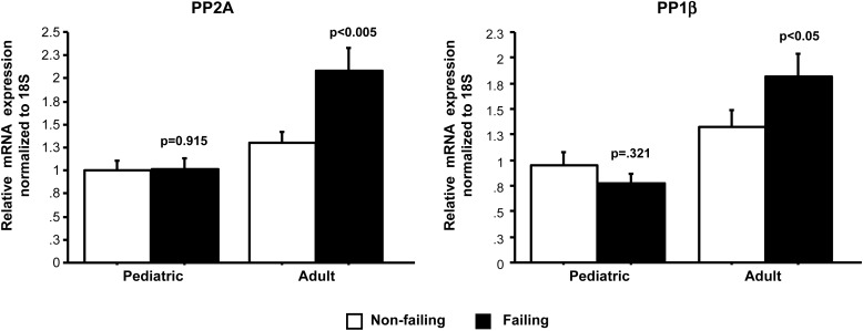 Figure 5