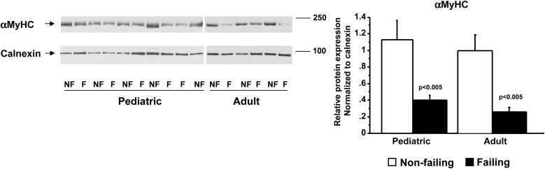 Figure 7