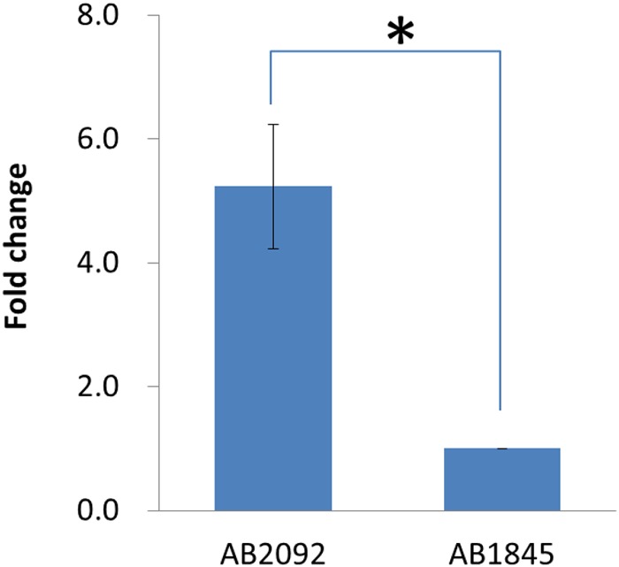 FIGURE 5