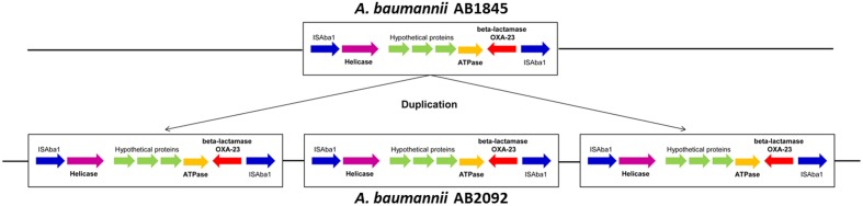 FIGURE 4