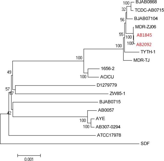 FIGURE 2