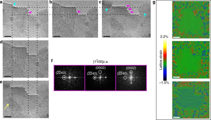 Fig. 3