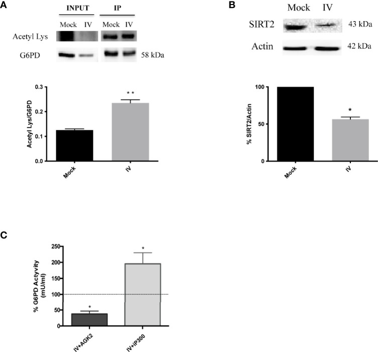 Figure 5