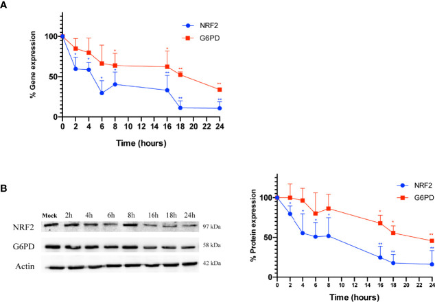 Figure 4