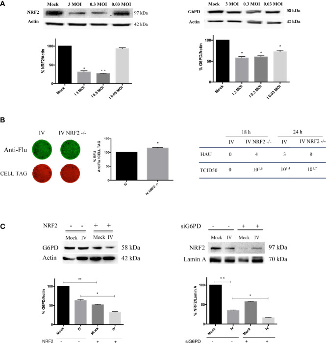 Figure 3