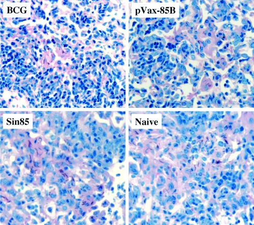 FIG. 6.