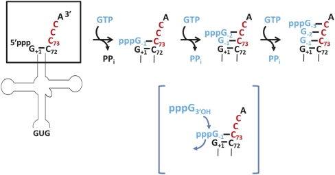 FIGURE 4.