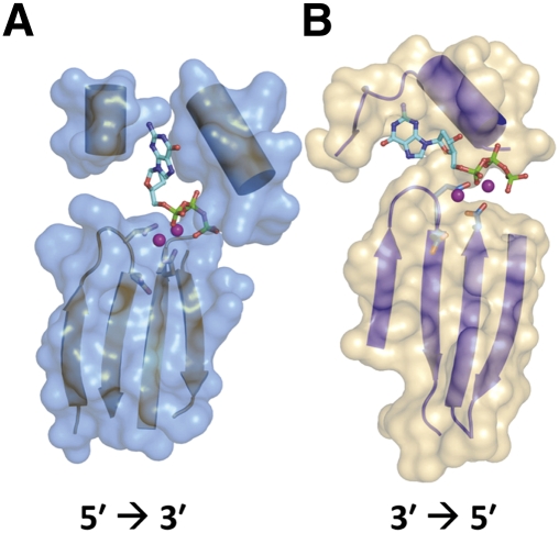 FIGURE 5.