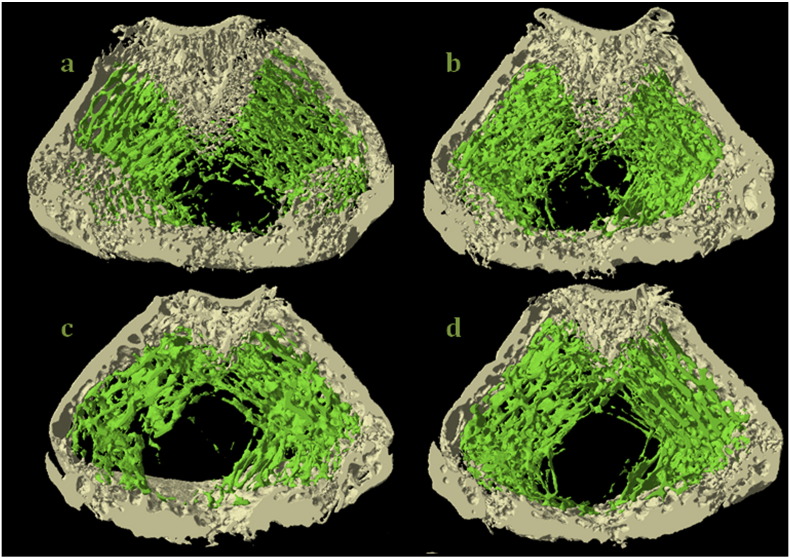 Fig. 4