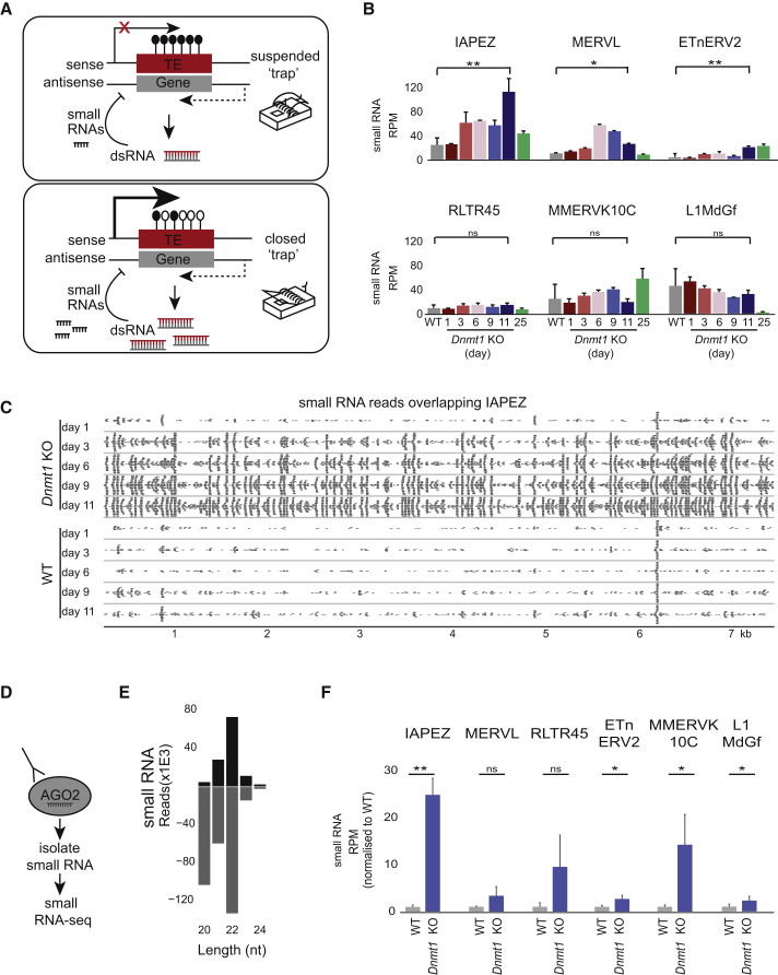 Figure 2