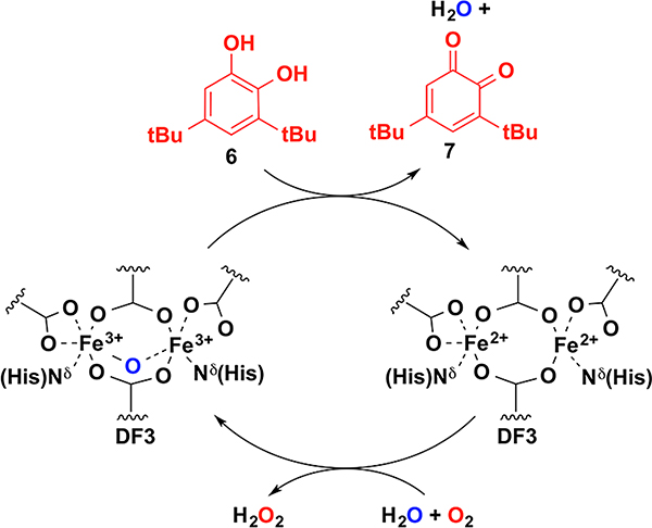 Scheme 4.