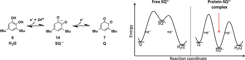 Scheme 7.