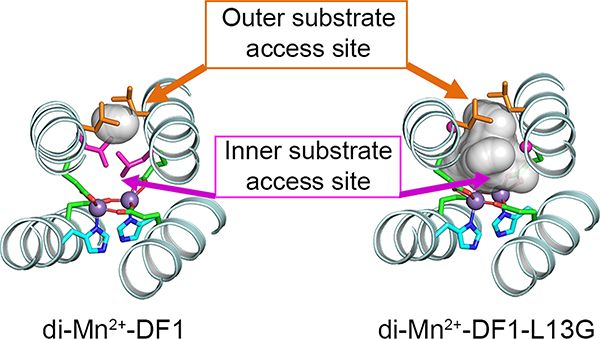 Figure 5.