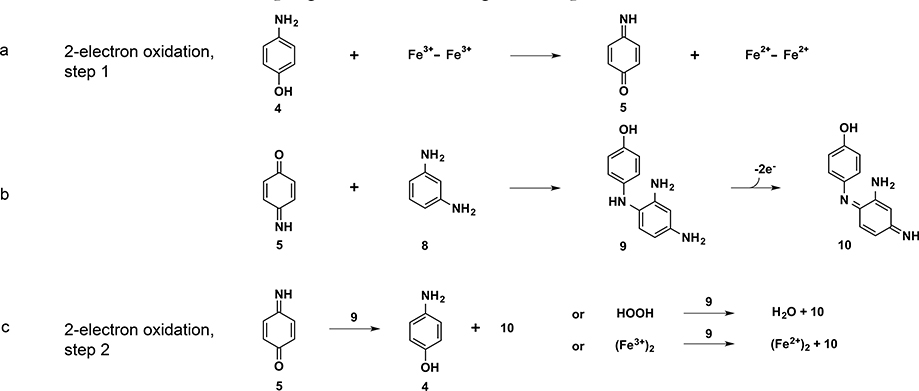 Scheme 3.