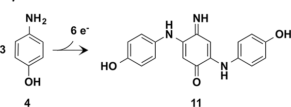 Scheme 5.