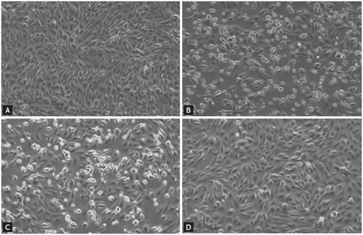 Fig. 13