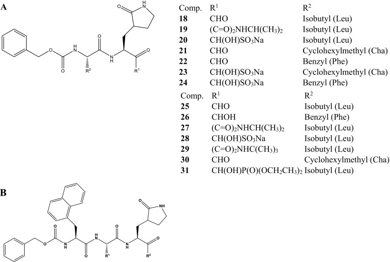 Scheme 2