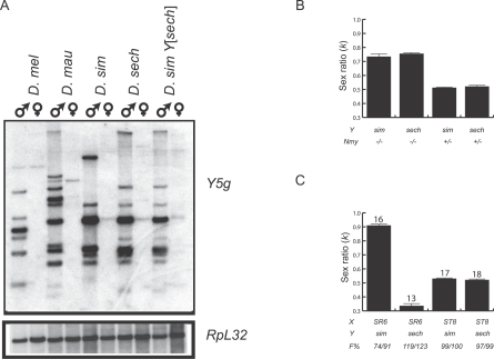 Figure 7