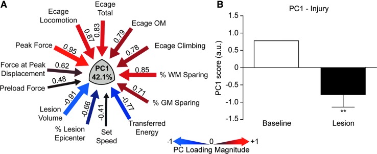 FIG. 9.