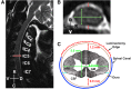 <b>FIG. 2.</b>
