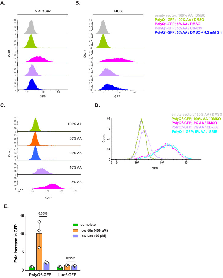 Figure 5—figure supplement 1.