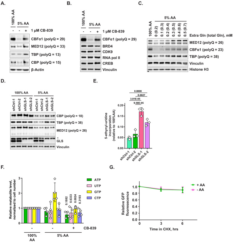 Figure 4—figure supplement 1.