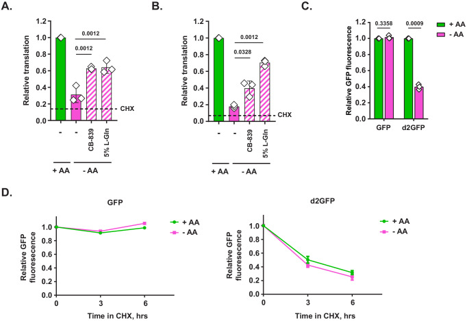 Figure 3—figure supplement 1.